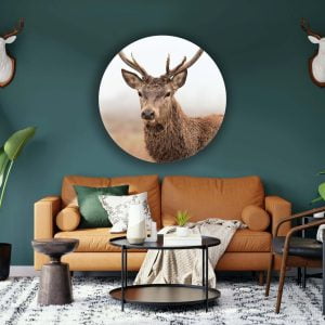 mockup hert 2 scaled e1675870471832