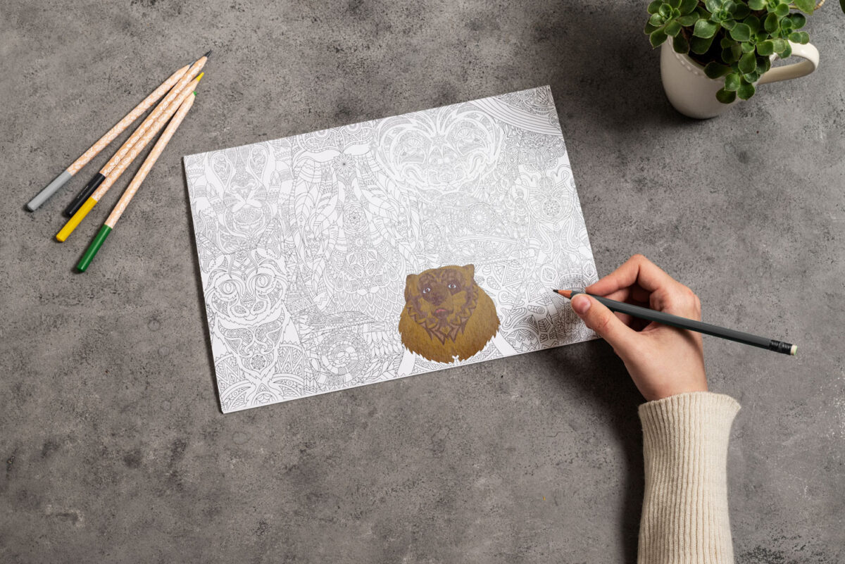 XL-kleurplaat-Dieren-vb XL kleurplaat Dieren vb scaled