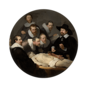 Muurcirkel - De Anatomische Les